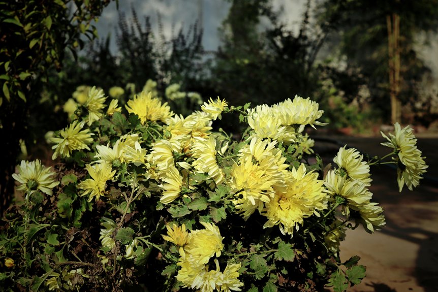 how scientists explain plant vitality